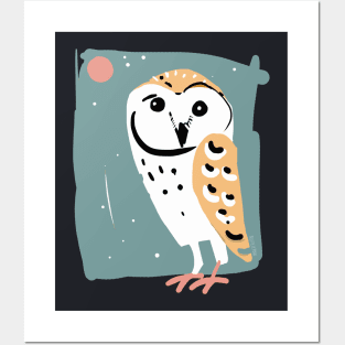 Barn Owl#3 Posters and Art